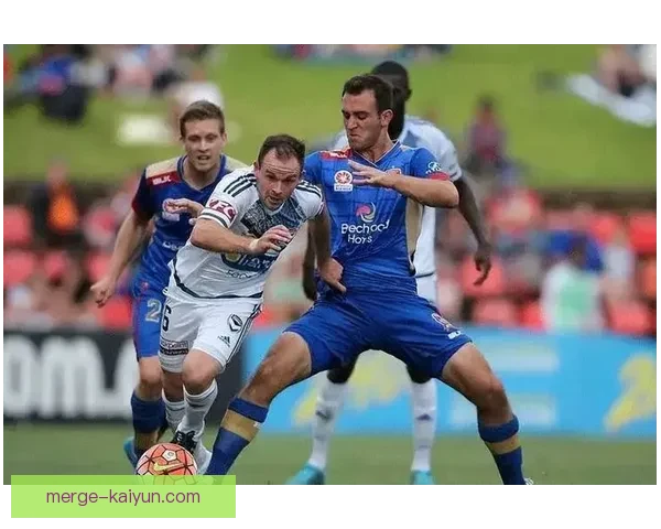 五大联赛新秀表现稳健，潜力无限值得关注