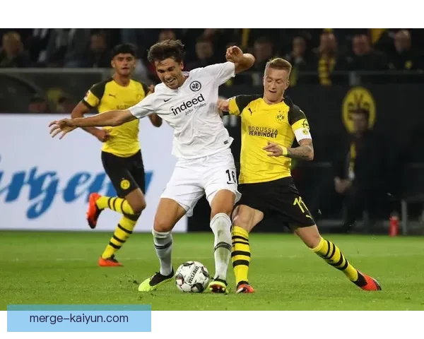 德甲法兰克福本赛季表现稳健，复兴之路走势清晰